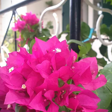 Appartamento Marijana